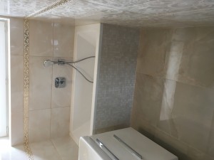 IMG 1925