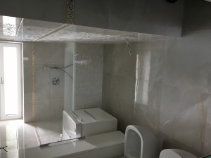 IMG 1929